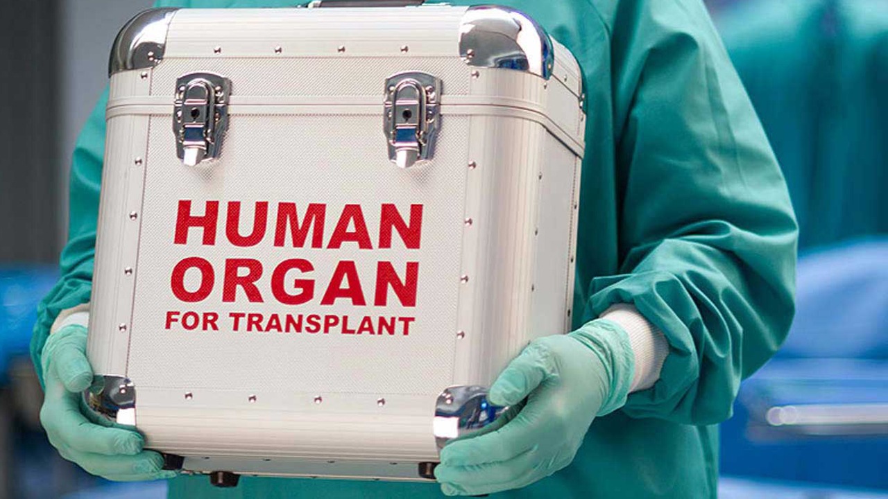 SUSPECTED ORGAN HARVESTING: NAPTIP BRINGS HOSPITAL, FOUR OTHERS TO COURT