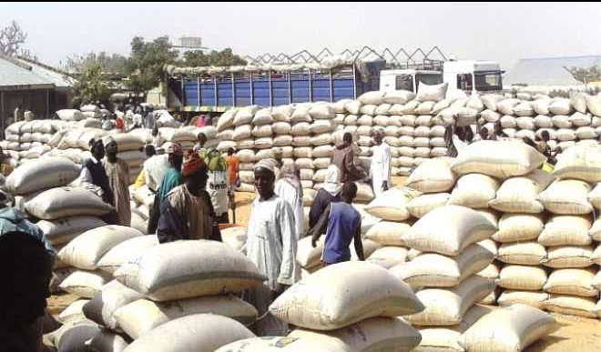 FEDERAL GOVERNMENT SET TO COMMENCE NATIONWIDE GRAIN DISTRIBUTION