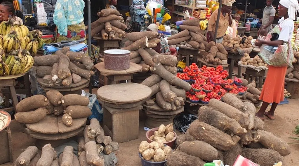 HARSH ECONOMIC REALITIES: MANY NIGERIANS LAMENT AMIDST FOOD AND NAIRA SCARCITY