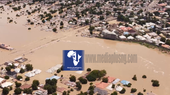 Extent of the Flood Impact