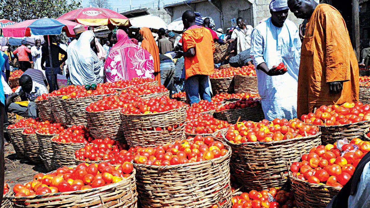 Nigeria’s Inflation Rate Drops to 24.48% in January 2025