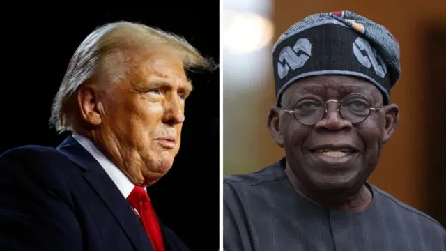 BRICS: Trump Urged to Engage Tinubu, Says Senator Ibrahim