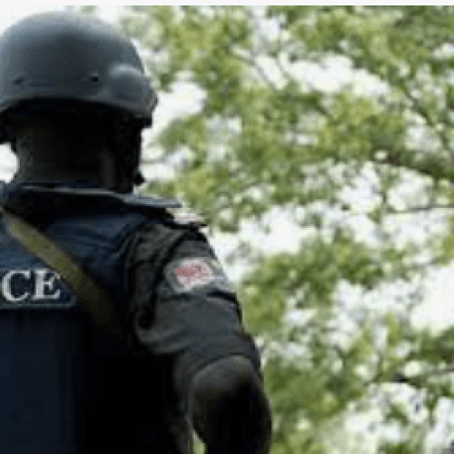 Police Launch Operation to Rescue Abducted Edo PDP Chair