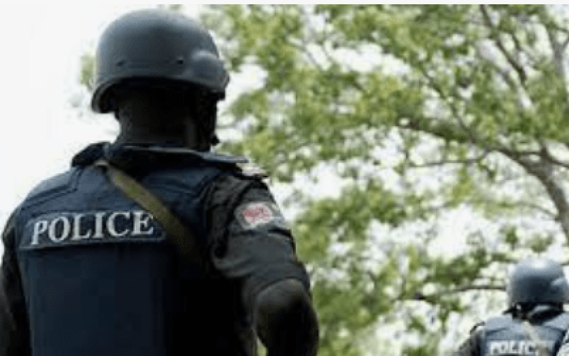 Police Launch Operation to Rescue Abducted Edo PDP Chair