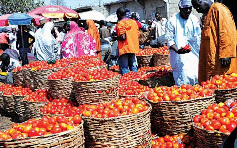 Nigeria’s Inflation Rate Drops to 24.48% in January 2025