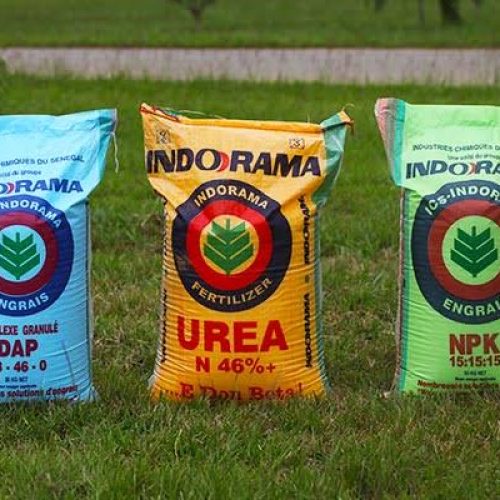 AfDB, Indorama Ink Accord to Enhance Fertilizer Manufacturing