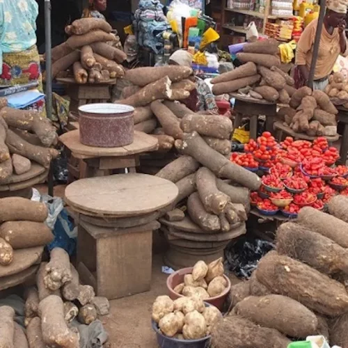 HARSH ECONOMIC REALITIES: MANY NIGERIANS LAMENT AMIDST FOOD AND NAIRA SCARCITY