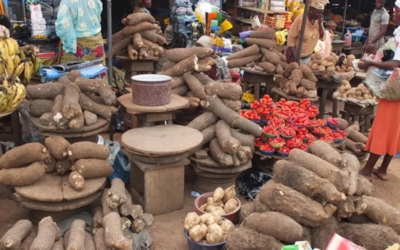 HARSH ECONOMIC REALITIES: MANY NIGERIANS LAMENT AMIDST FOOD AND NAIRA SCARCITY