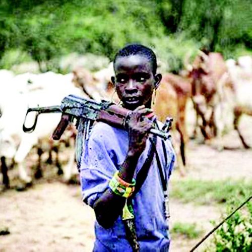 Tragic Onslaught in Ebonyi: Suspected Herdsmen Lay Siege on Amegu Nkalaha Community