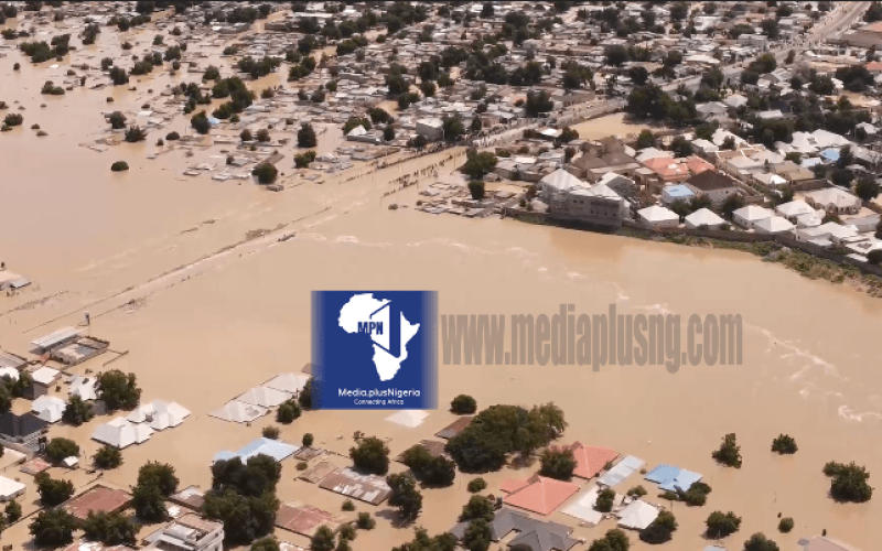 Extent of the Flood Impact